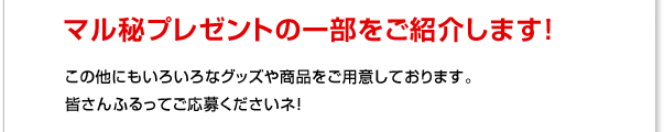 オリエンタルカレー　がっちりプレゼントキャンペーン